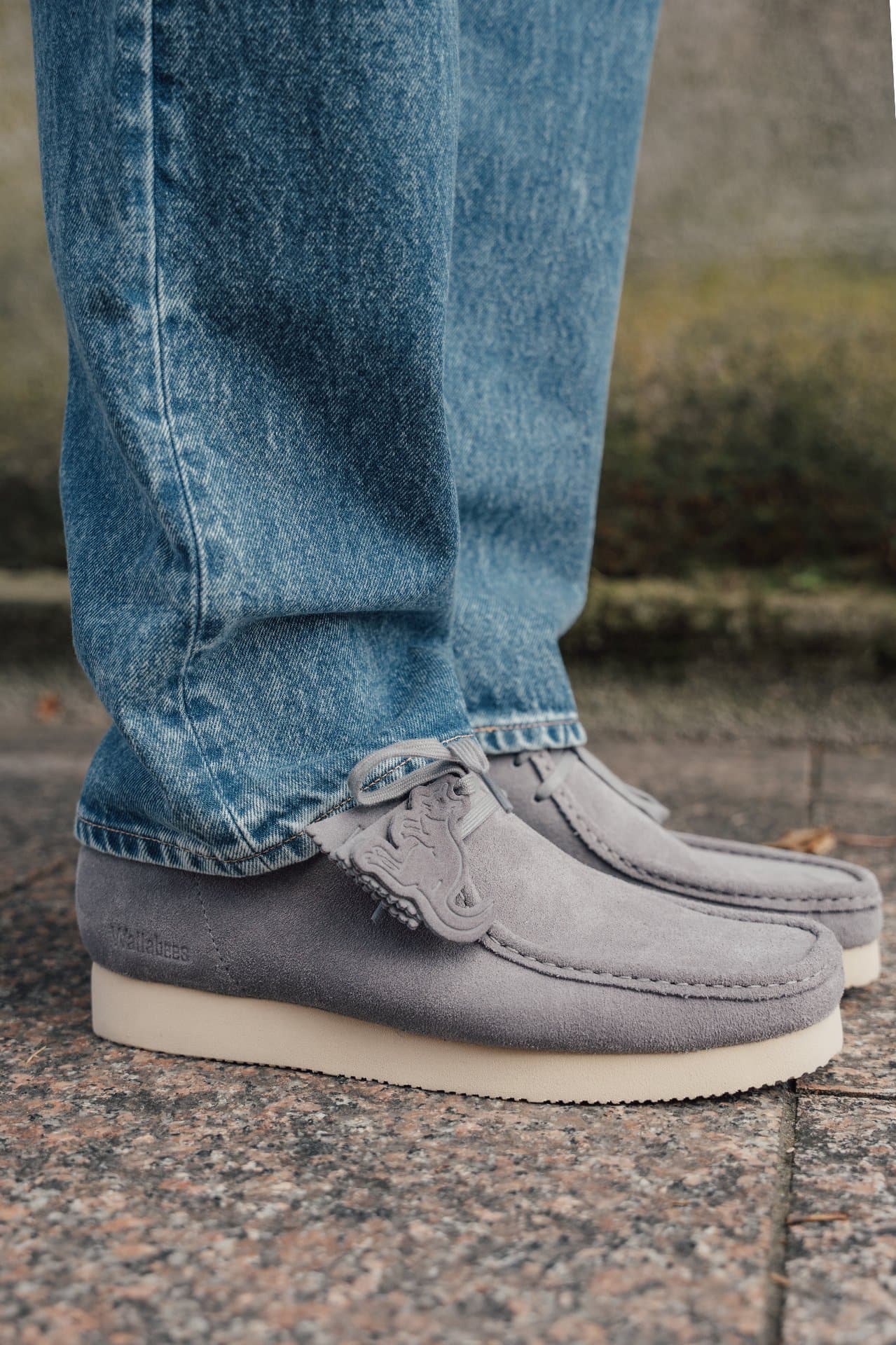 Photo de la collection Clarks 4